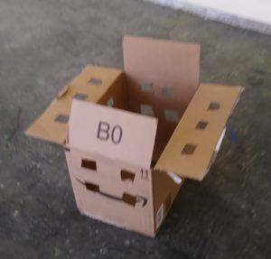 Box with holes cut in it that we tried to put kittens in with hilarious results.