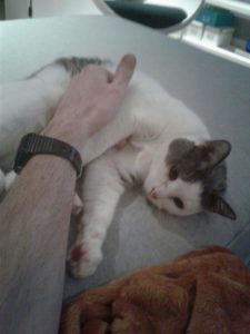 Moxie (2003 - 2019)
She was the dorbsiest