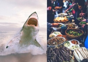 Don't let a slip-up make you give up. Shark and buffet